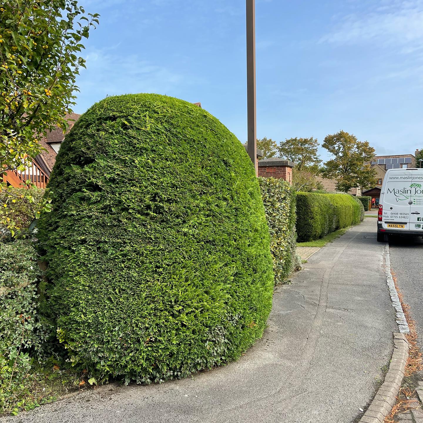 Hedge Maintenance Plans Milton Keynes, Northampton, Bedford, Buckinghamshire